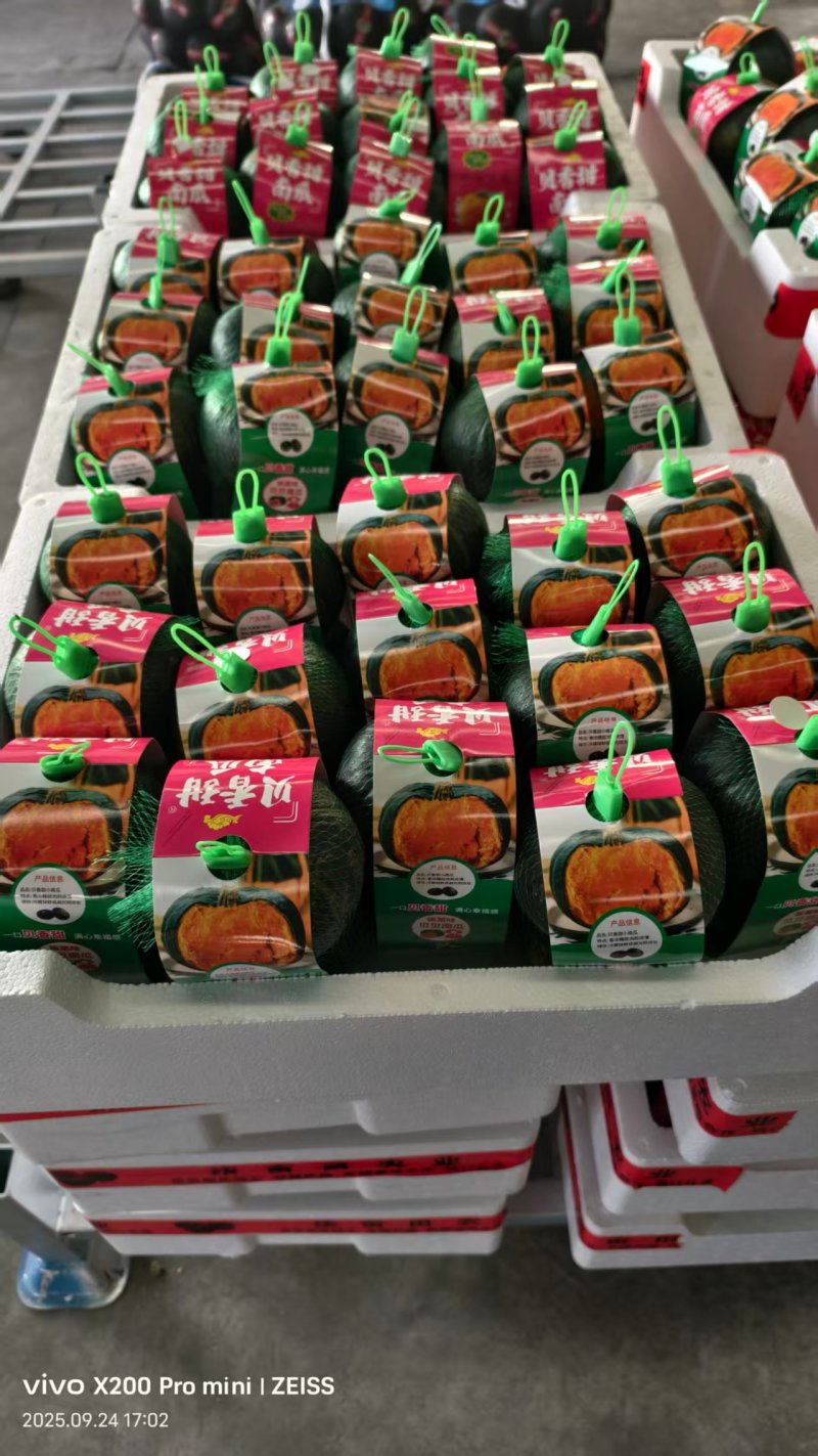 贝贝南瓜精品包装欢迎来电咨询可视频看货