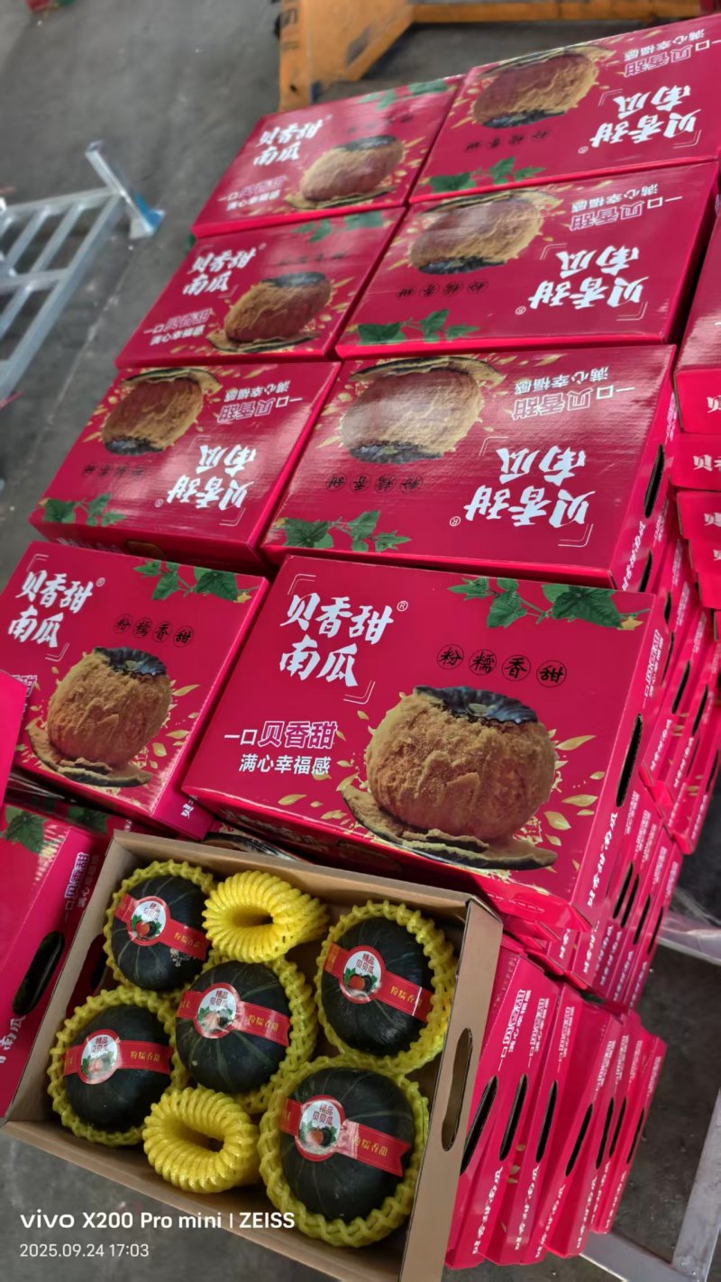 贝贝南瓜精品包装欢迎来电咨询可视频看货