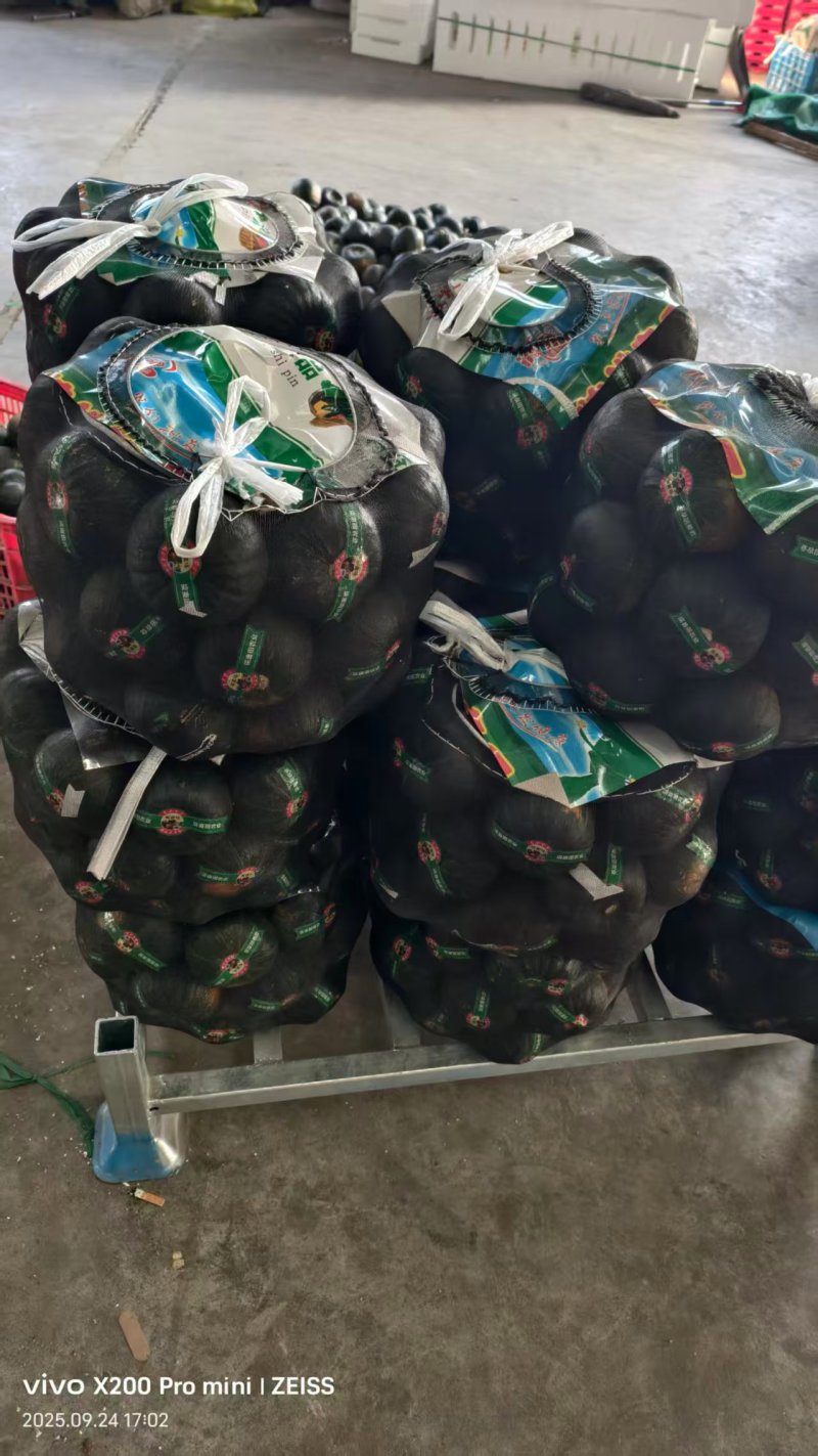 贝贝南瓜精品包装欢迎来电咨询可视频看货