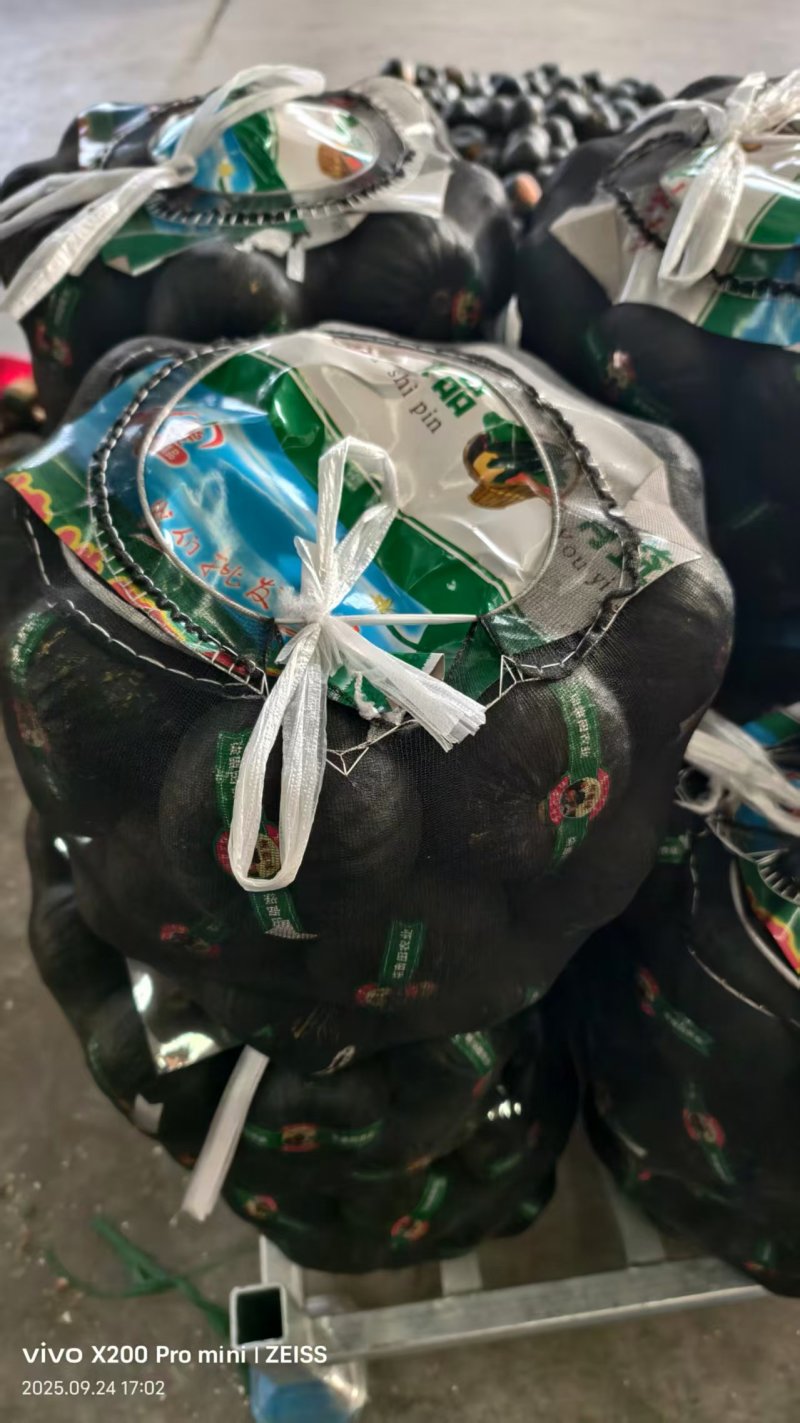 贝贝南瓜精品包装欢迎来电咨询可视频看货