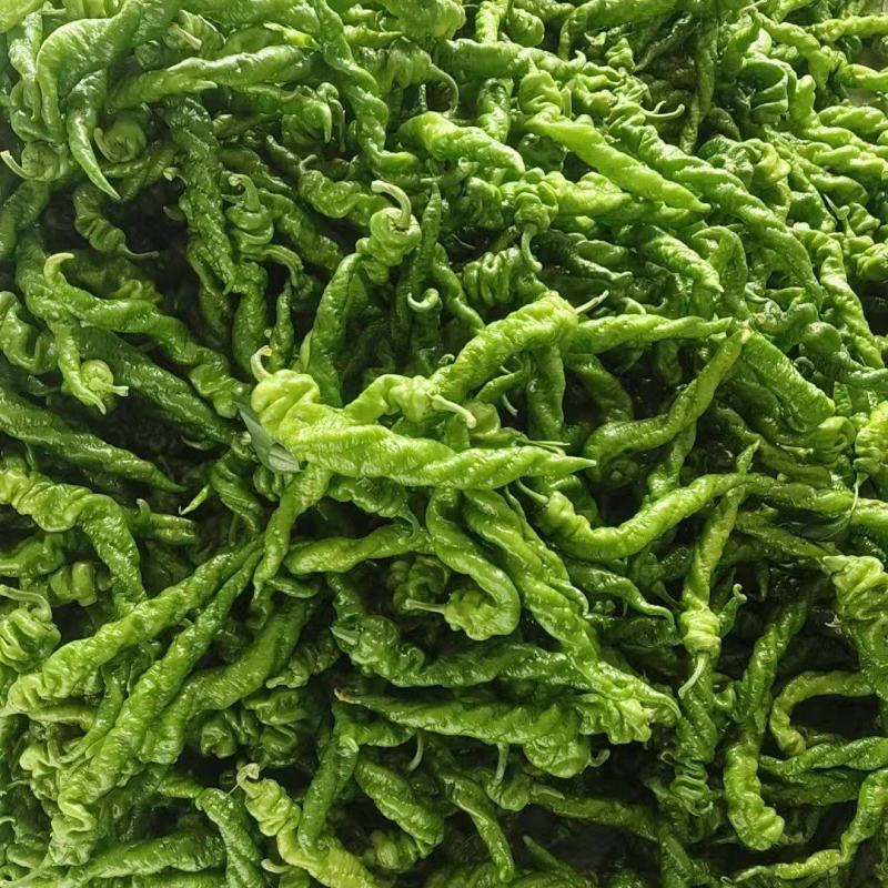 辣椒产地直发量大从优价格可谈