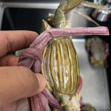 青蟹黄油苗甲指大