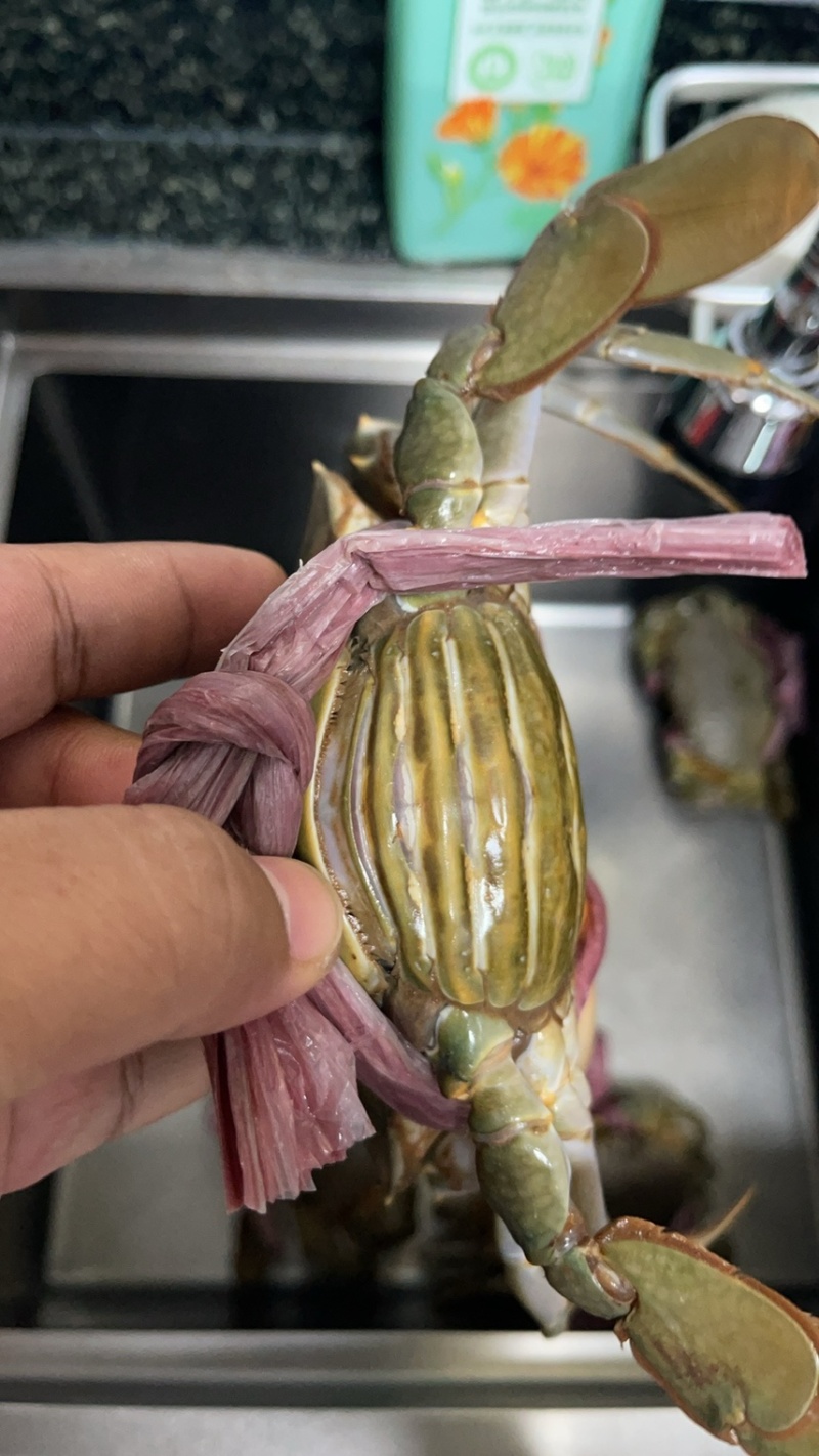 青蟹黄油苗甲指大