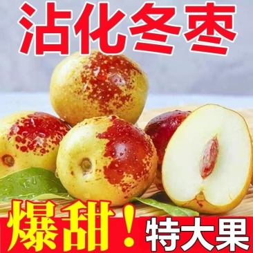 山东沾化大冬枣供应电商一件代发支持看货