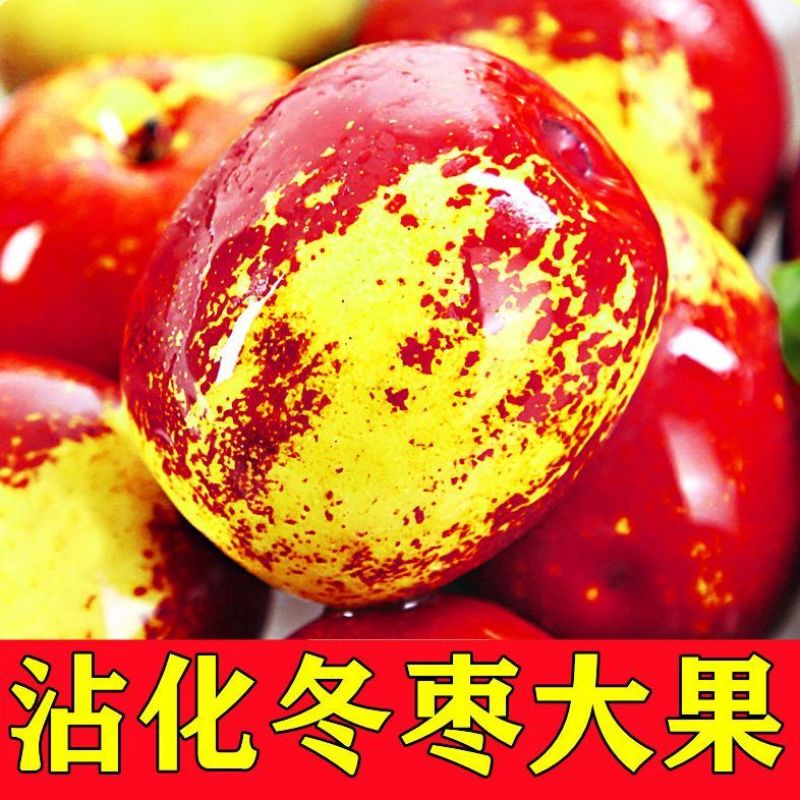 山东沾化大冬枣供应电商一件代发支持看货