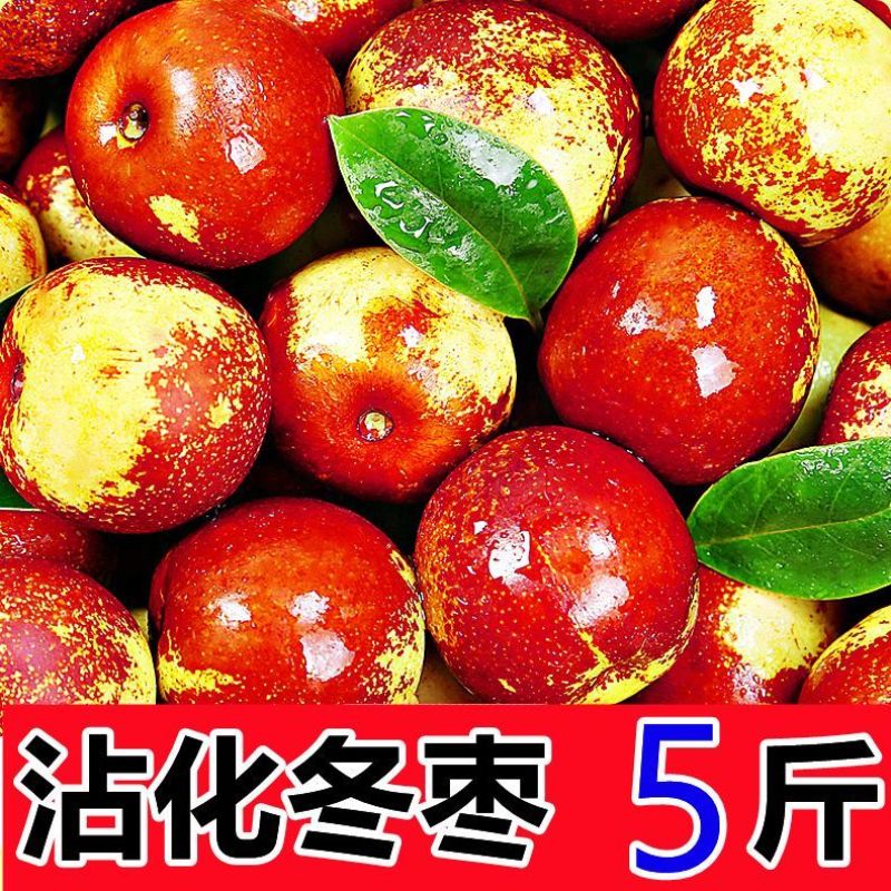 山东沾化大冬枣供应电商一件代发支持看货
