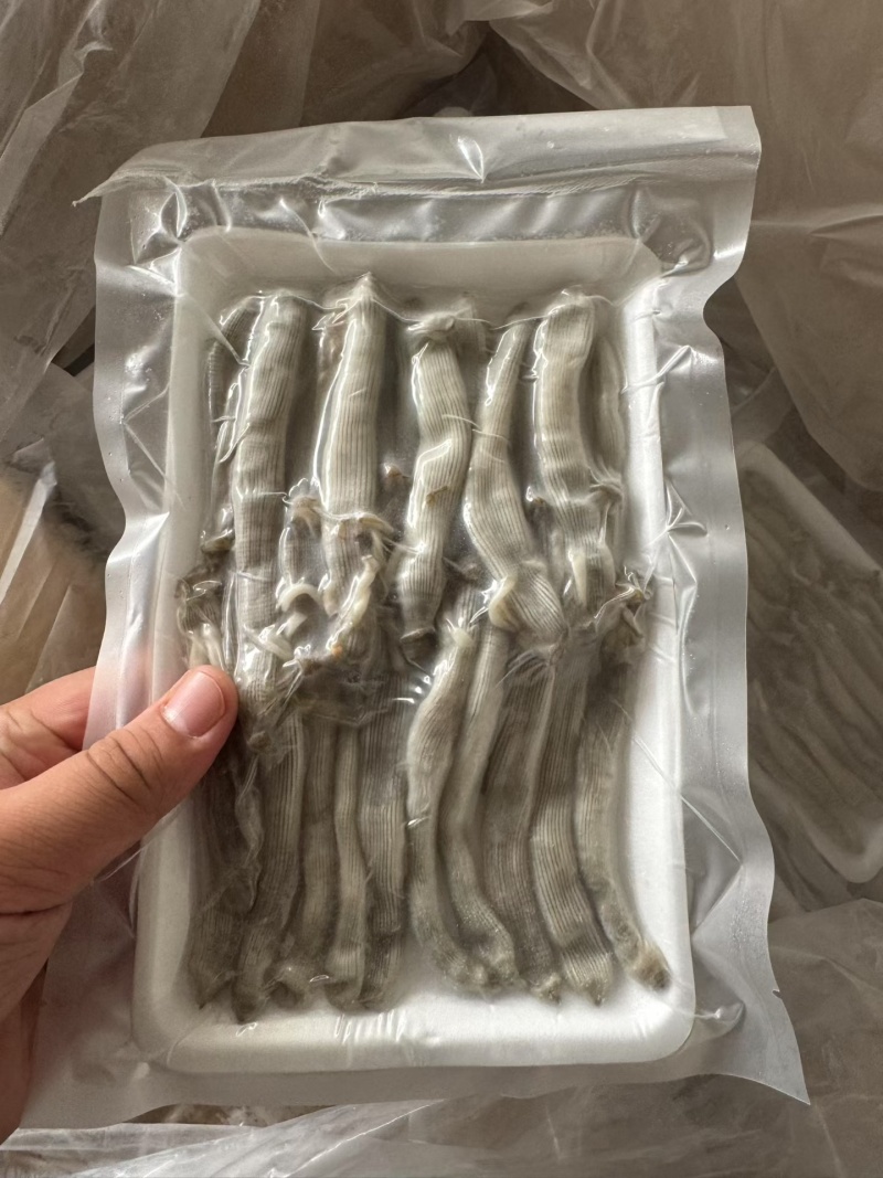 沙虫，冻板沙虫，托盘沙虫，去脏沙虫，沙虫干