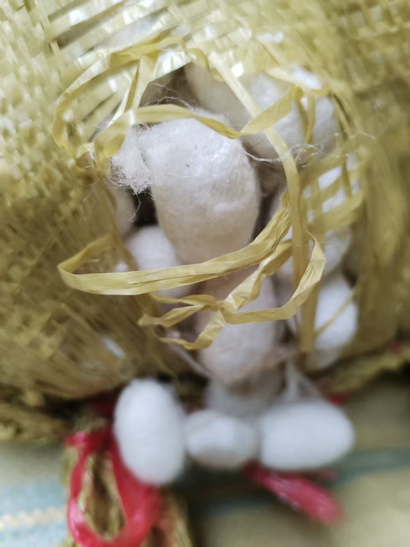 桑蚕茧