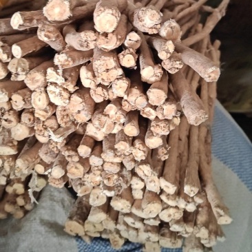 黄芪节子精品现发欢迎电话咨询货源充足规格齐全