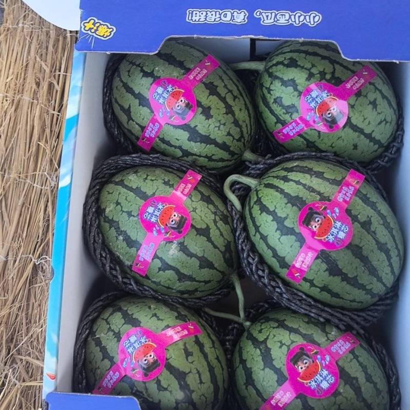 精品小糖丸产区直供，全方位服务。支持田园看货地头装车。