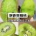 高山纯有机猕猴桃大量上市可对接高端市场商超团购口感无敌