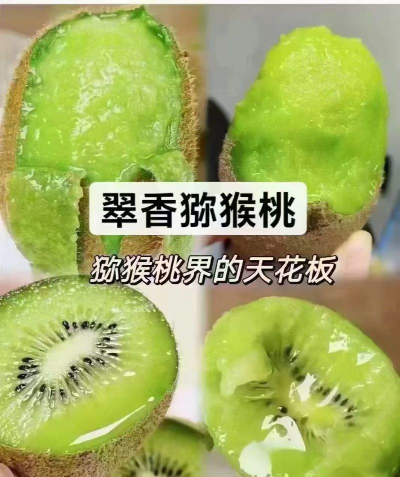 高山纯有机猕猴桃大量上市可对接高端市场商超团购口感无敌
