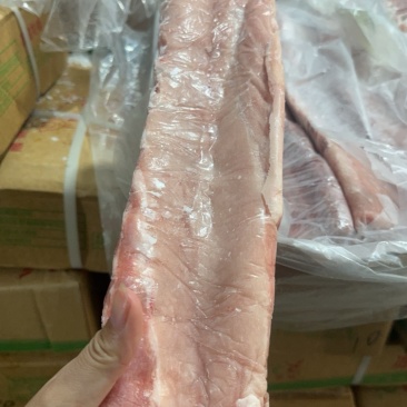 肥猪龙骨6-9条，新货