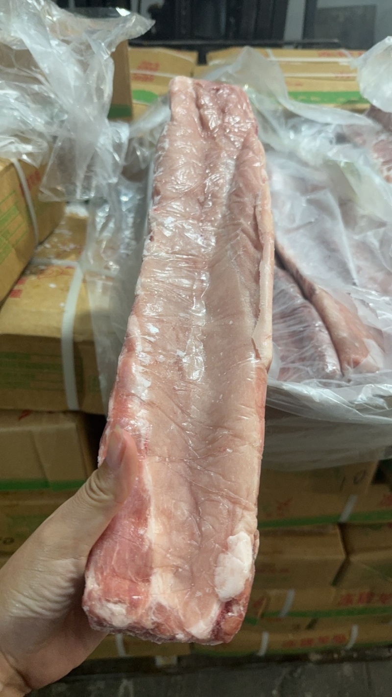 肥猪龙骨6-9条，新货