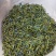 龙胆花护肝花大货批发零售