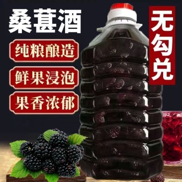 桑葚酒