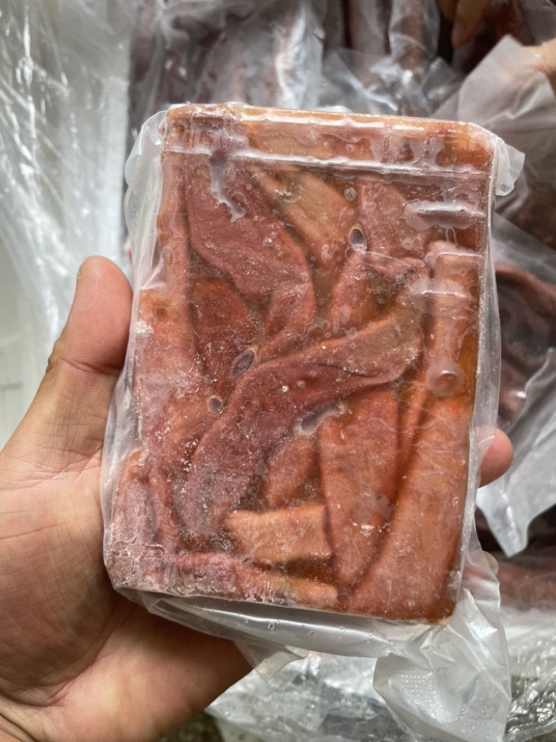 管肠、海肠