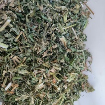 益母草