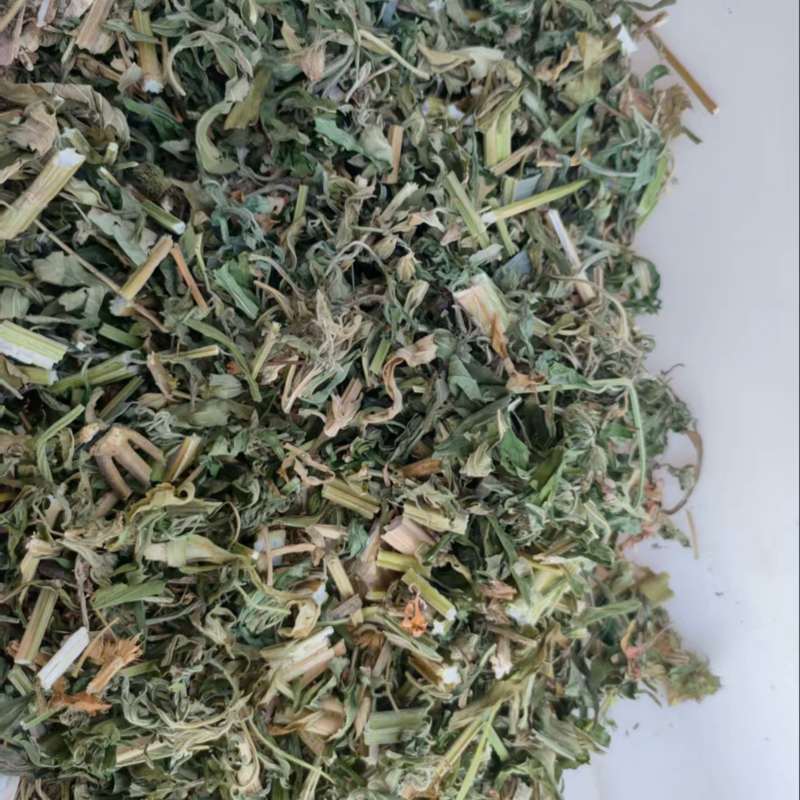 益母草