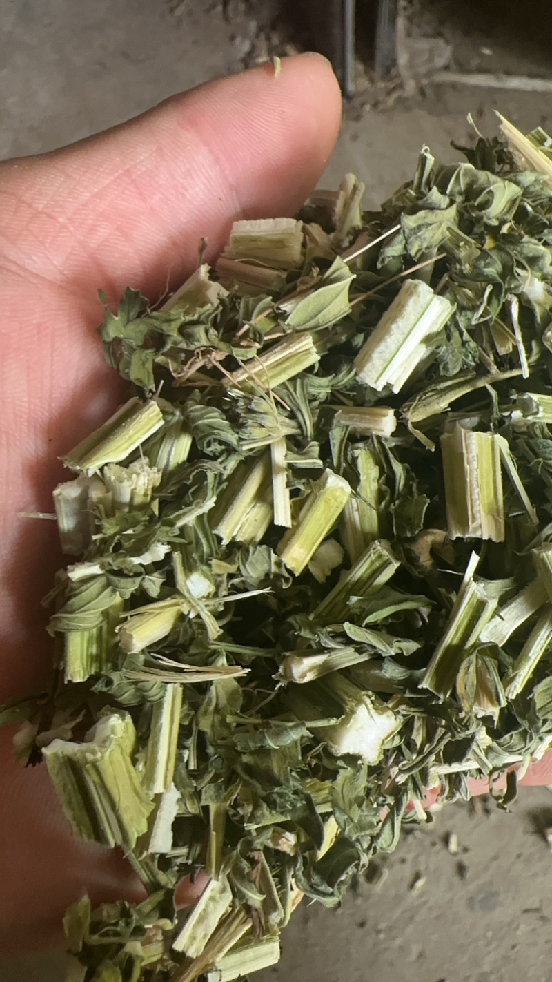 益母草