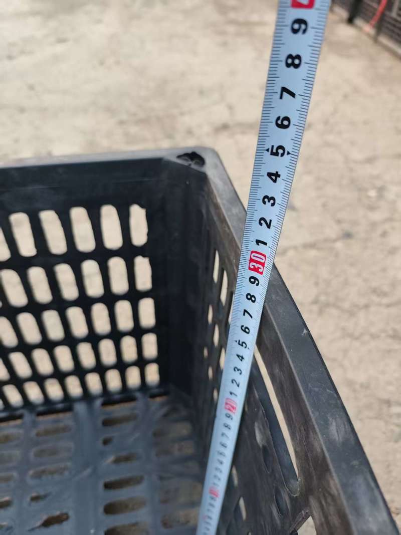 水果一次性黑筐子