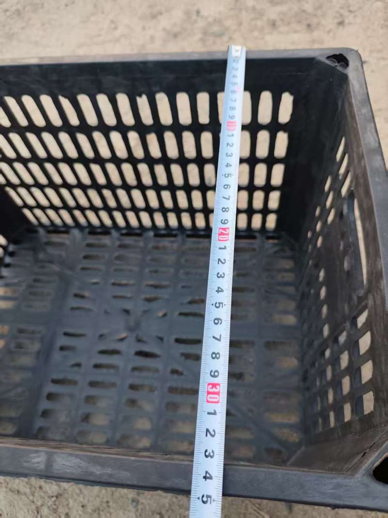 水果一次性黑筐子