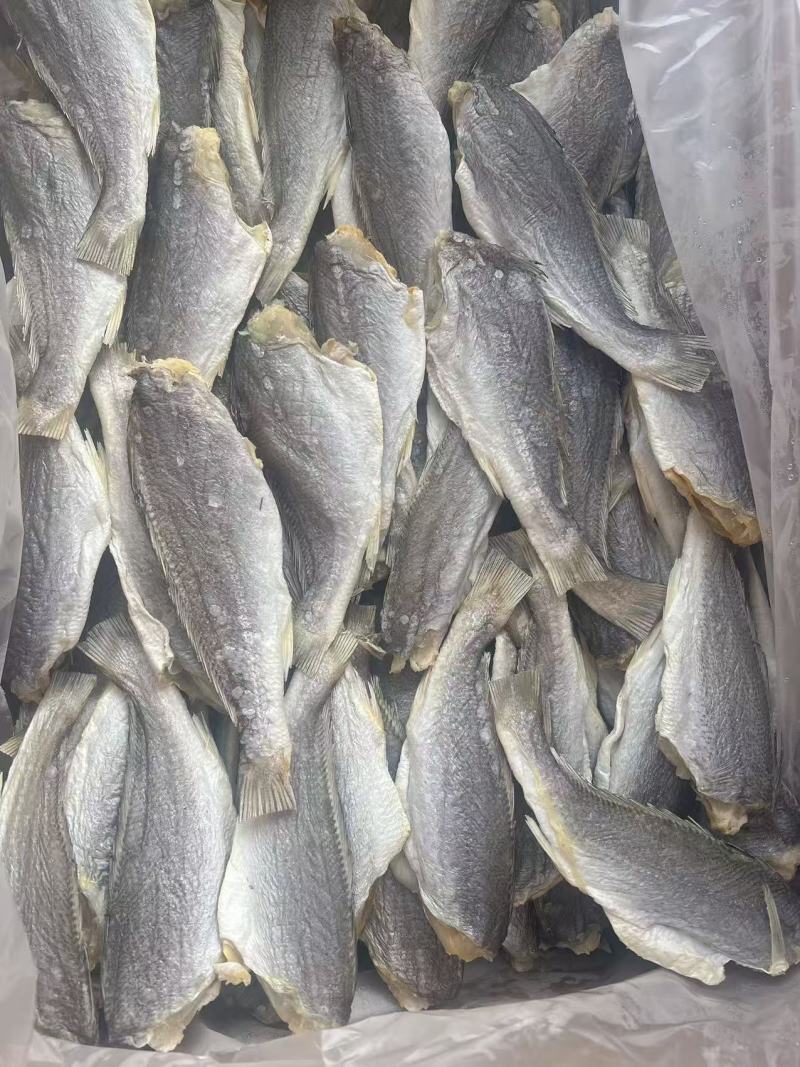三牙鱼干地摊电商批发三牙鱼干干鱼