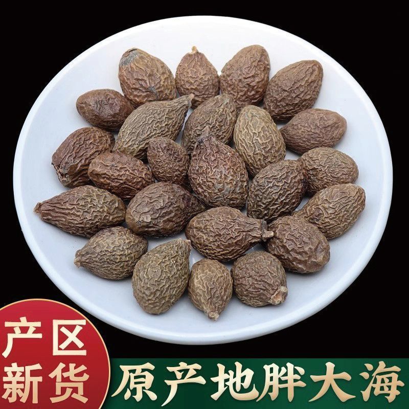 精选胖大海正品产地直销诚信经营中药材合作共赢