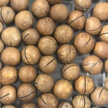 夏威夷果大量现货，批发，需要联系