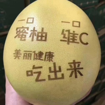 湖北红心蜜柚、三红柚个大皮薄，水份充足。产地直发，一手货源。