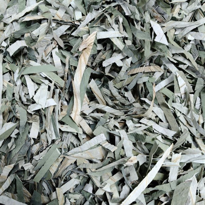 荷叶正品中药材产地直销诚信经营合作共赢中药材