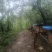 来自大山深圳的正宗野生百花蜜