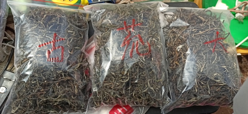 纯生态古树