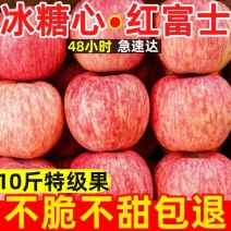 烟台红富士苹果**电商一件代发支持看货