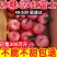 烟台红富士苹果**电商一件代发支持看货