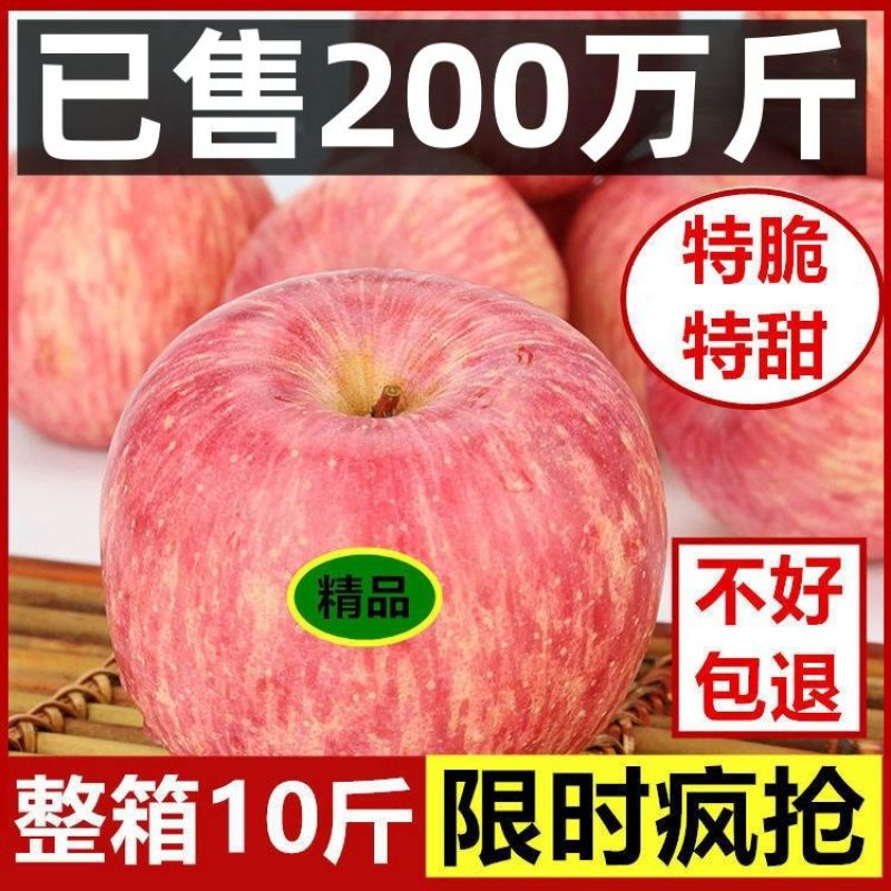 烟台红富士苹果**电商一件代发支持看货