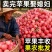 烟台红富士苹果**电商一件代发支持看货