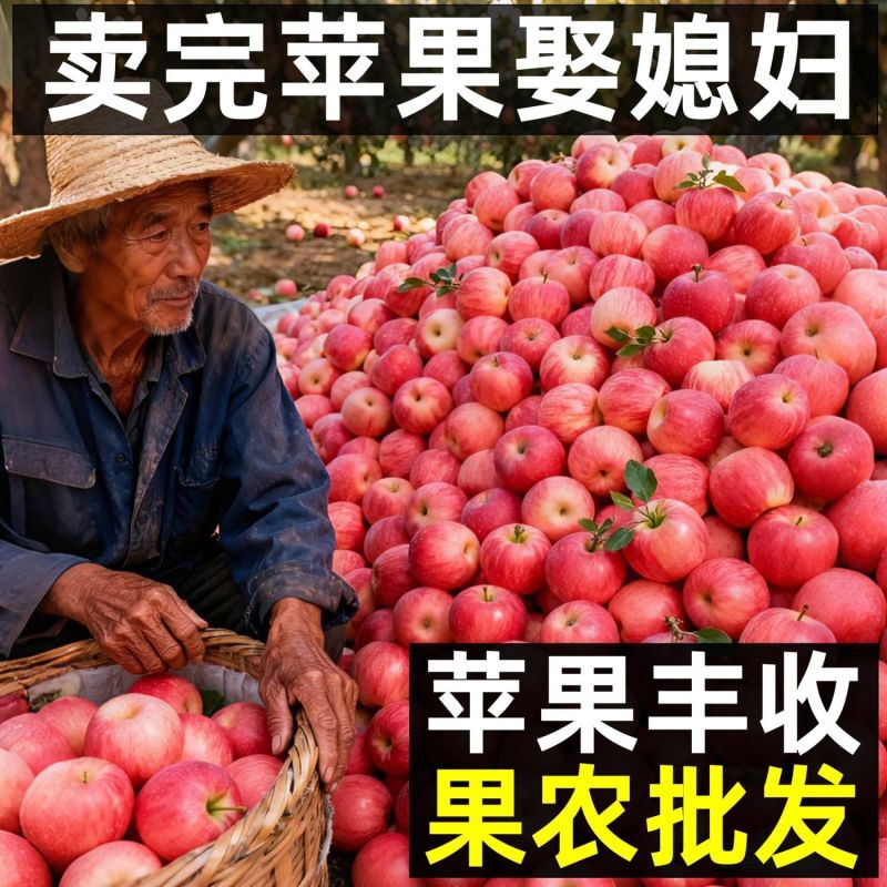 烟台红富士苹果**电商一件代发支持看货