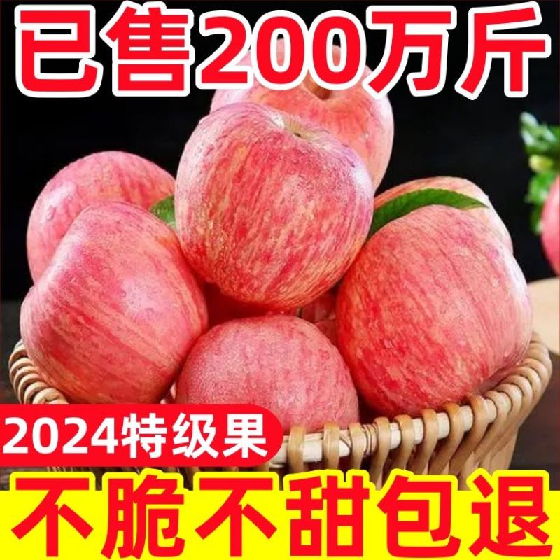 烟台红富士苹果**电商一件代发支持看货
