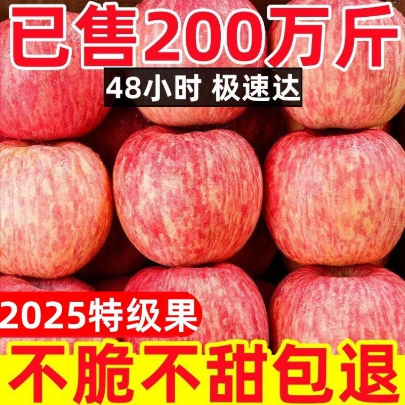 烟台红富士苹果**电商一件代发支持看货