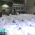 原产地金阳特级青麻椒全年供应量大价优货源充足品质保障
