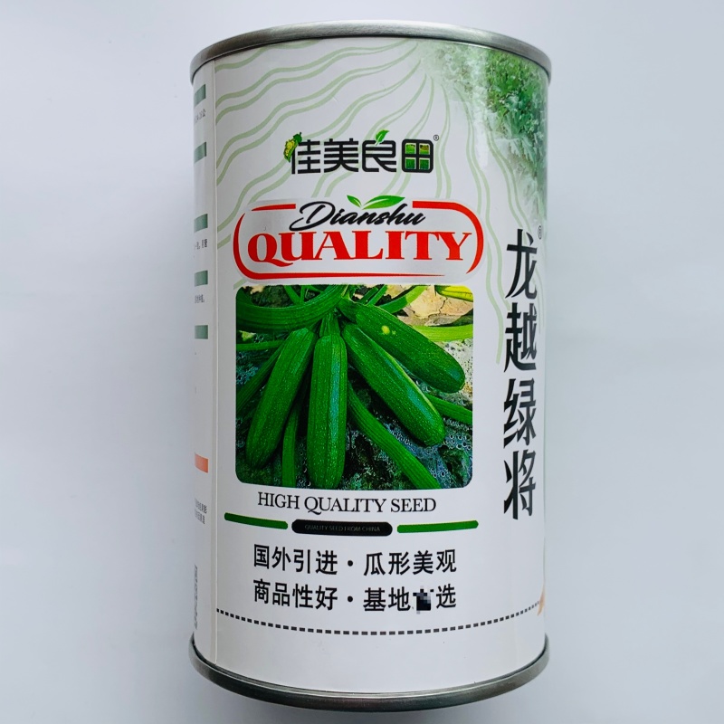 龙越绿将西葫芦种子云南西南热销翠绿色西葫芦种籽春秋季角瓜