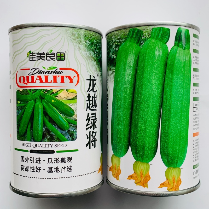 龙越绿将西葫芦种子云南西南热销翠绿色西葫芦种籽春秋季角瓜