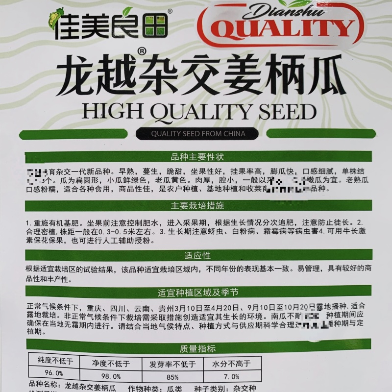 龙越杂交姜柄瓜种子早熟蔓生姜饼瓜种籽早熟春秋大田