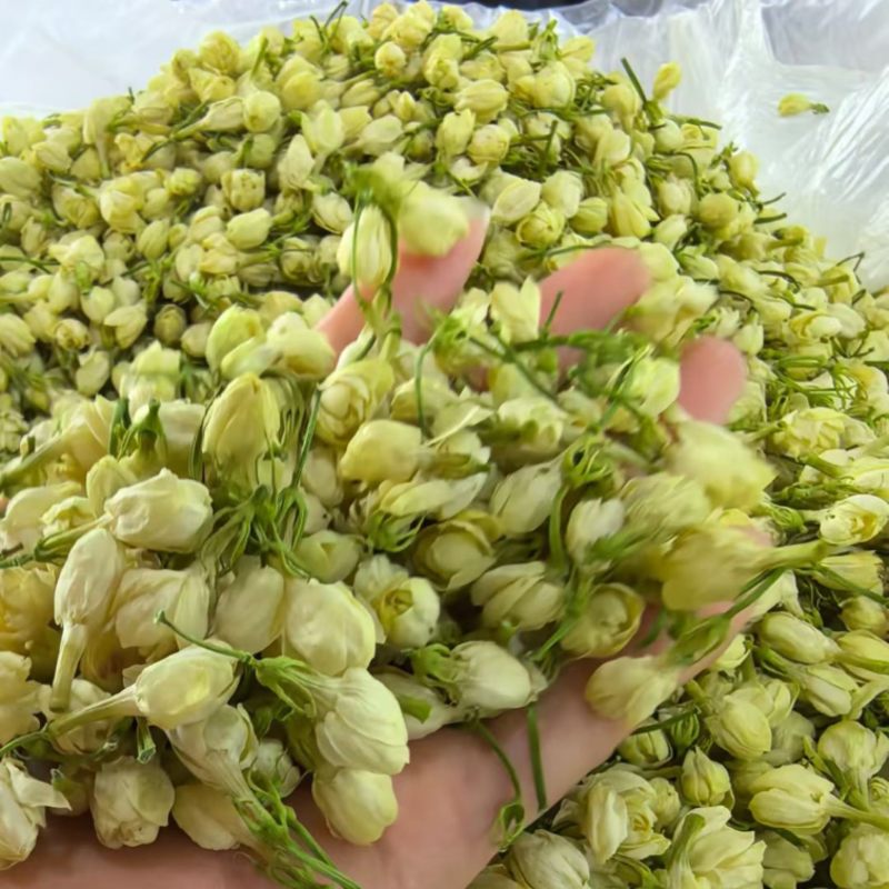 2025茉莉花苞新干花