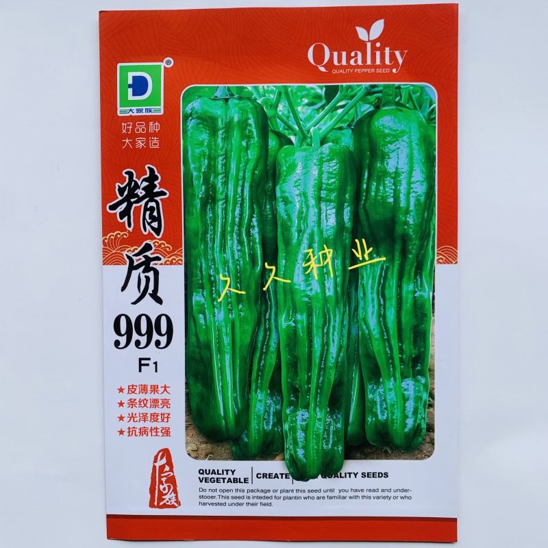 精质999辣椒种子深绿皮大果型薄皮椒种籽皮薄味较辣抗病强