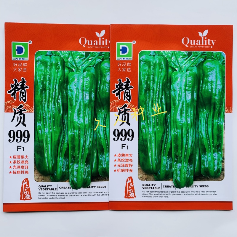 精质999辣椒种子深绿皮大果型薄皮椒种籽皮薄味较辣抗病强