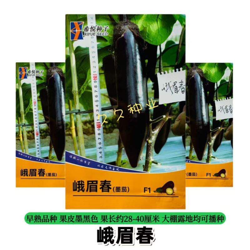 峨眉春墨茄子种子墨黑色长型棒茄春秋冬季高产长茄种籽