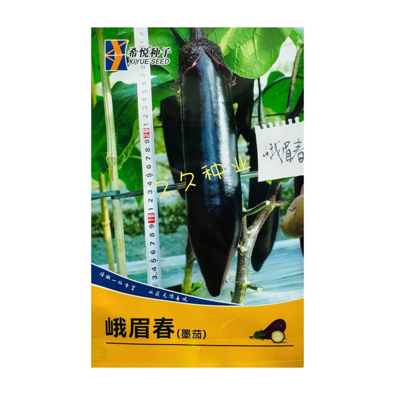 峨眉春墨茄子种子墨黑色长型棒茄春秋冬季高产长茄种籽
