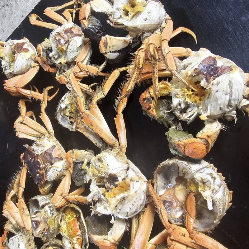 便宜螃蟹大量有货